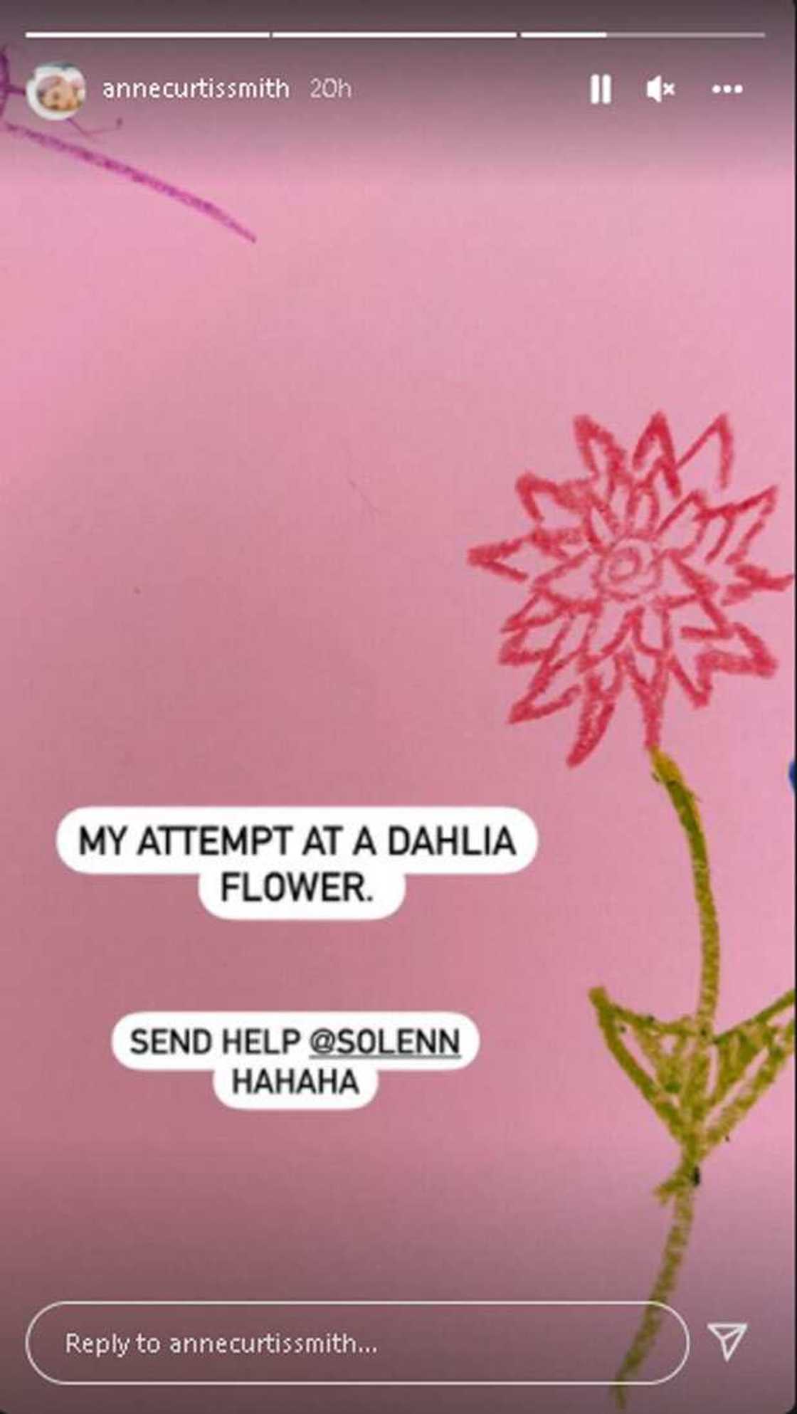 Anne Curtis, nagpasaklolo kay Solenn pagkatapos nyang mag-draw ng dahlia Anne Curtis, nagpasaklolo kay Solenn pagkatapos nyang mag-draw ng dahlia