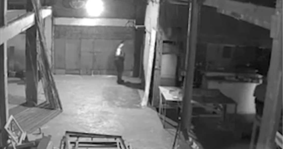 Bodega Bodega