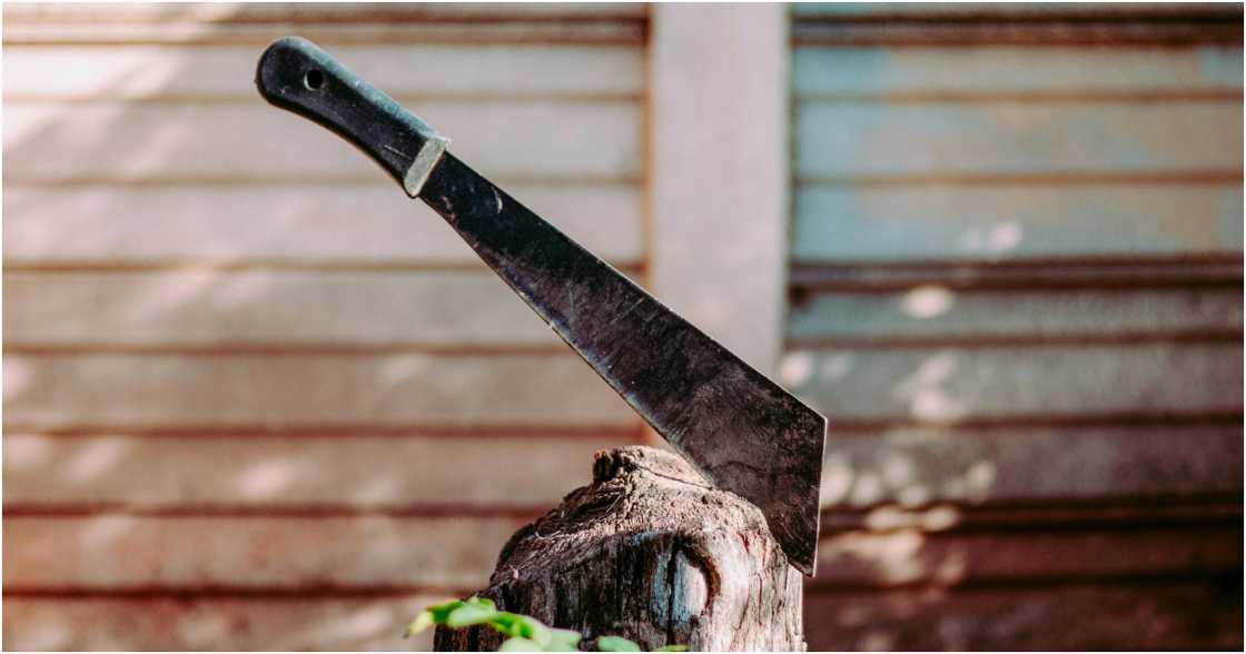 Bruchin Noeka on Pexels