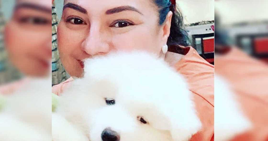 Karla Estrada talks about the financial status of Daniel Padilla, "At 35, he's good" Karla Estrada talks about the financial status of Daniel Padilla, "At 35, he's good"