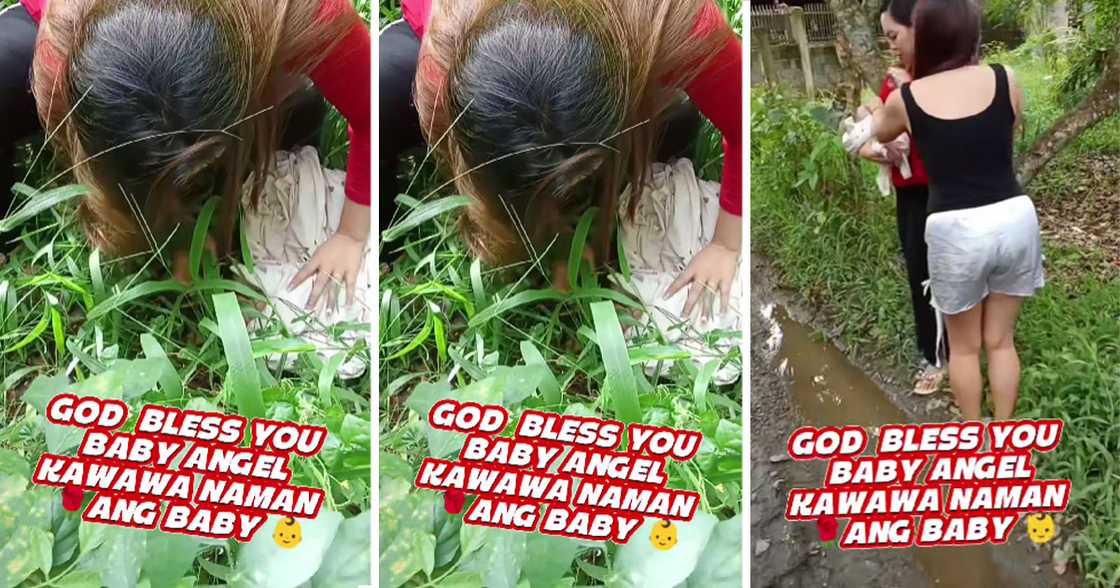 Photo: Mildred Palma Photo: Mildred Palma