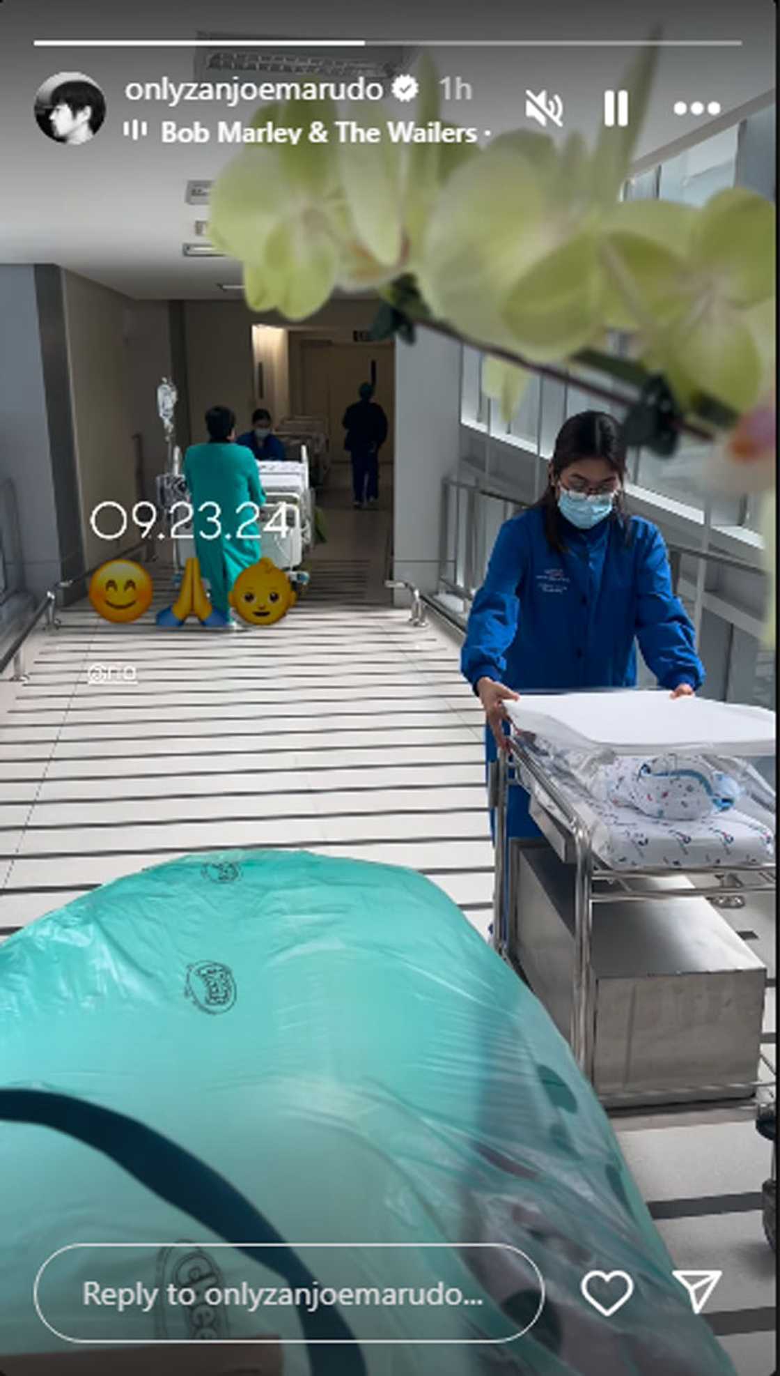 Zanjoe Marudo Zanjoe Marudo