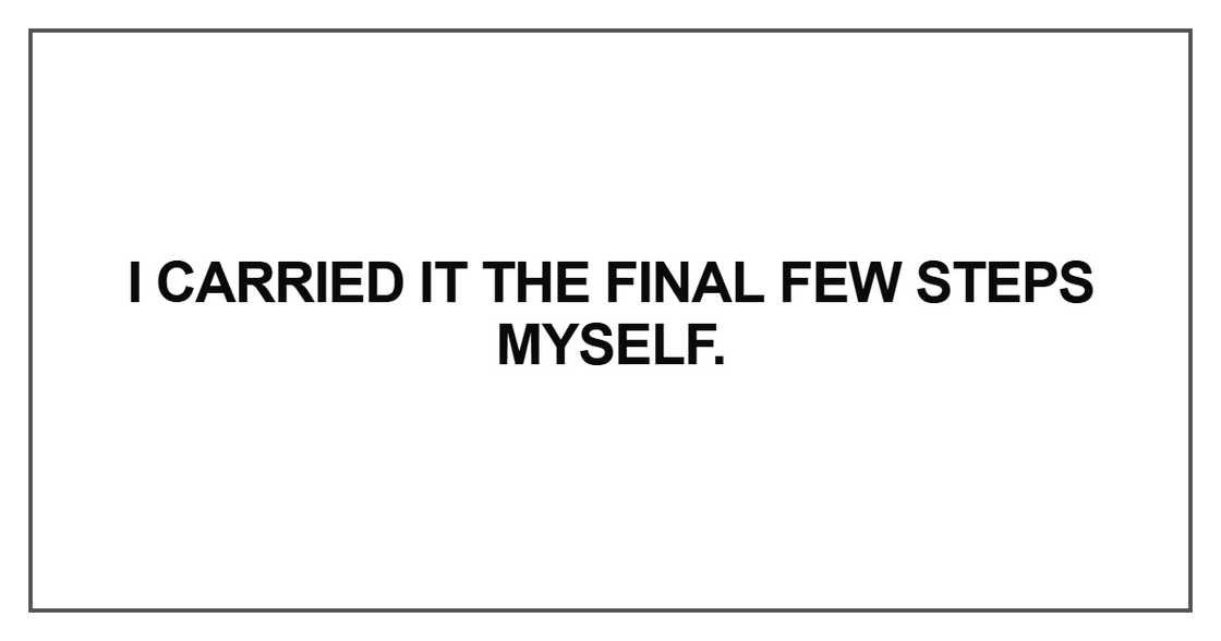 I carried it the final few steps myself