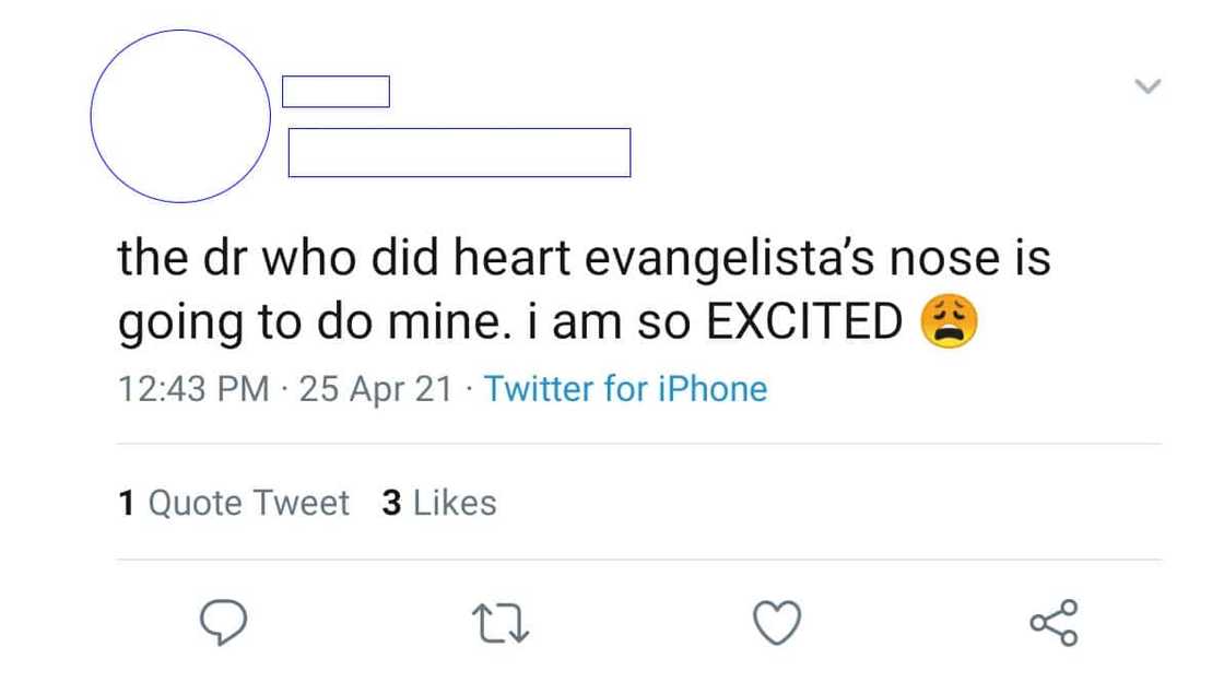 Heart Evangelista, pinatulan ang isang netizen na nagsabing nagpaayos siya ng ilong