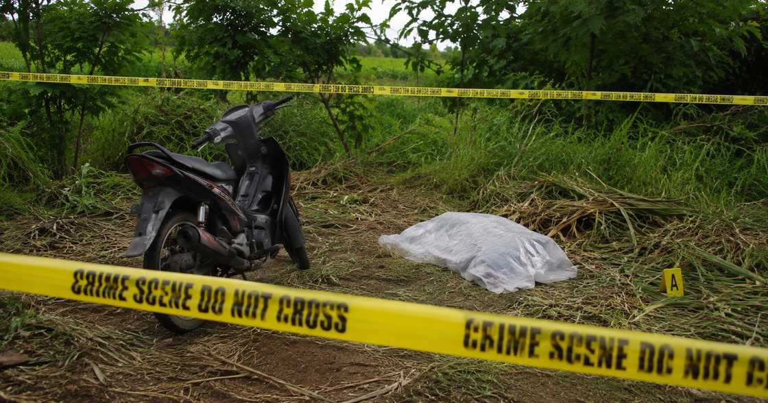 Nurse mula Licuan-Baay natagpuang wala nang buhay sa bakanteng lote sa Abra