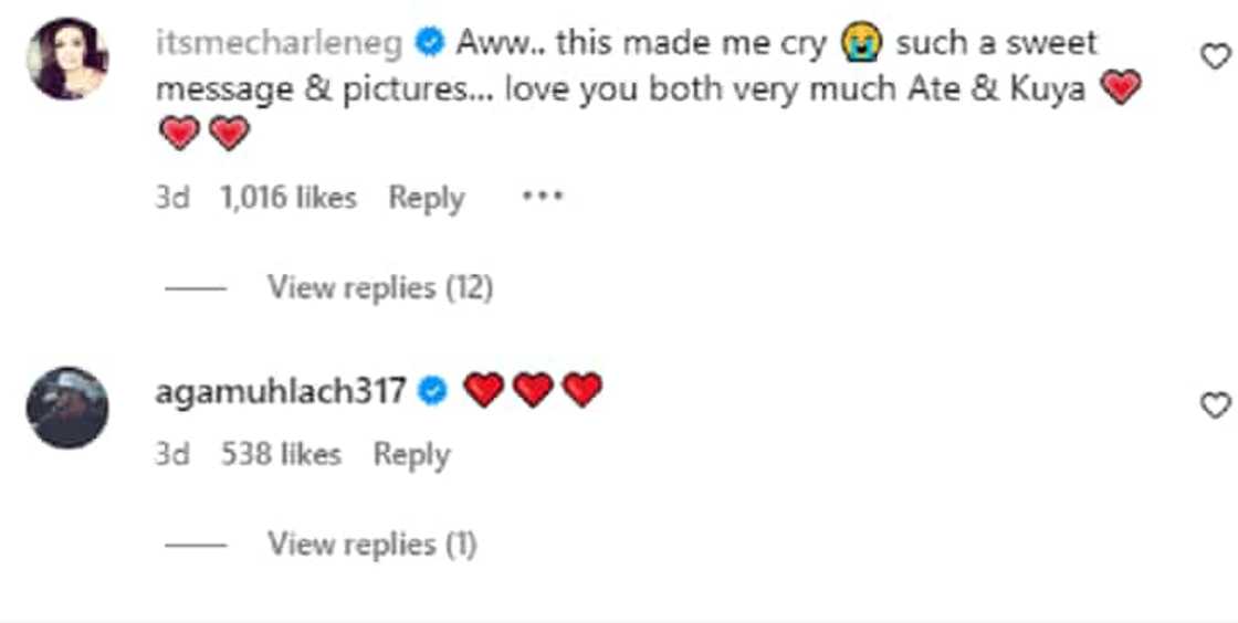 Andres Muhlach/@aagupy Andres Muhlach/@aagupy