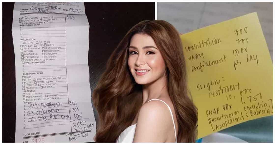 Photo: Carla Abellana Photo: Carla Abellana