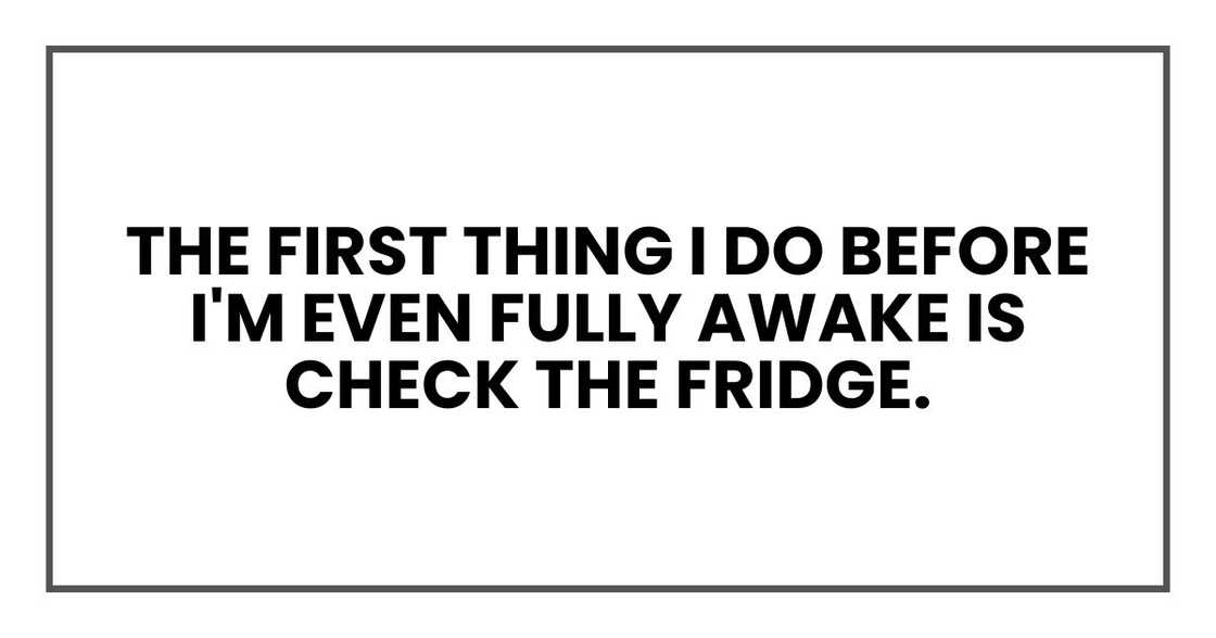 the first thing I do before I'm even fully awake is check the fridge.