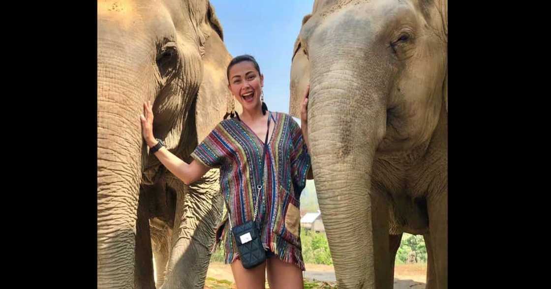 Jodi Sta. Maria’s son, Thirdy, says mom deserves the whole world Jodi Sta. Maria’s son, Thirdy, says mom deserves the whole world