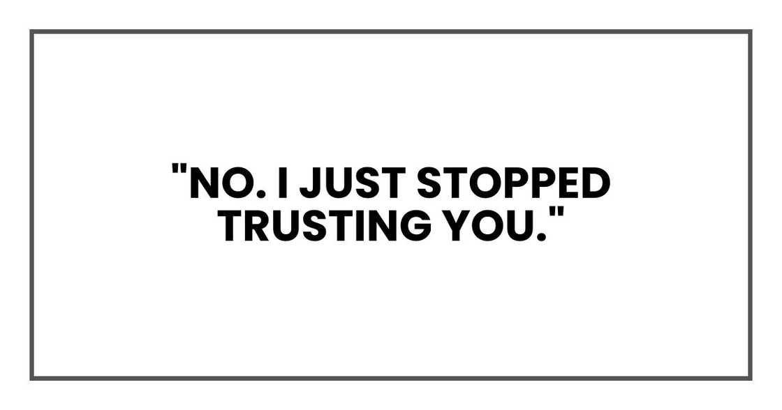 "No. I just stopped trusting you." "No. I just stopped trusting you."