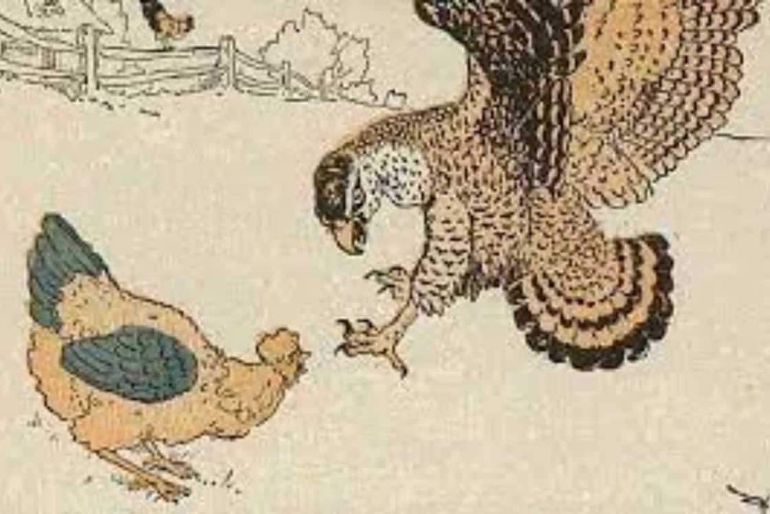 Philippine folktale Philippine folktale