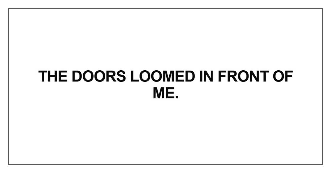 The doors loomed in front of me The doors loomed in front of me