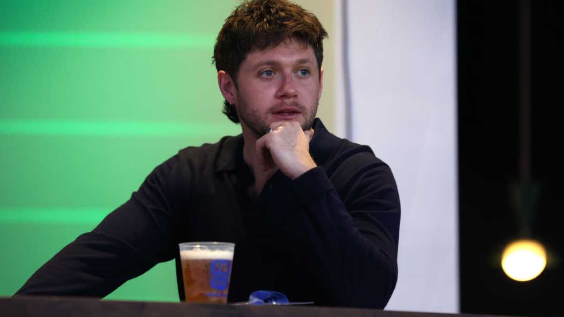 Songwriter Niall Horan