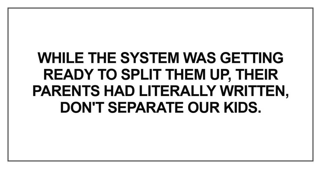 A year after adopting four siblings who faced separation, a stranger arrived with a shocking revelation about their biological parents that changed everything forever. A year after adopting four siblings who faced separation, a stranger arrived with a shocking revelation about their biological parents that changed everything forever.