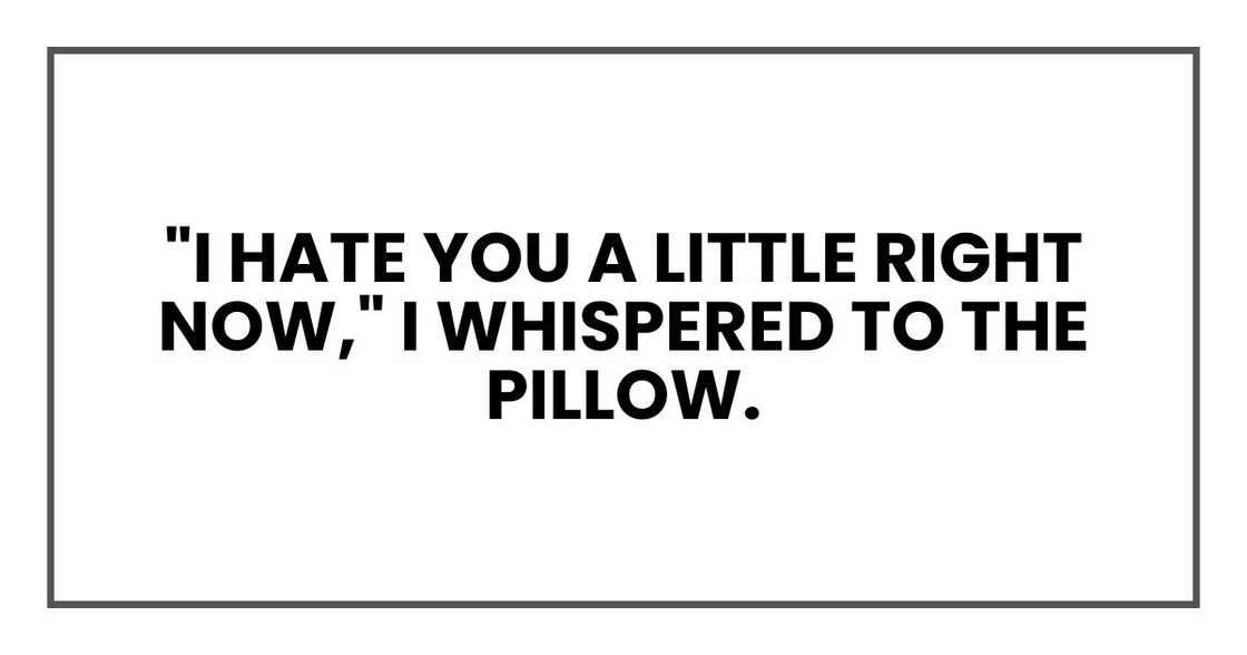"I hate you a little right now," I whispered to the pillow. "I hate you a little right now," I whispered to the pillow.