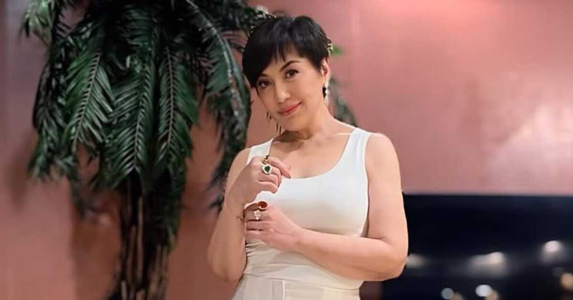 Sharon Cuneta proudly flaunts her senior citizens ID