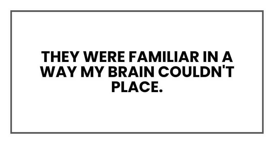They were familiar in a way my brain couldn't place.