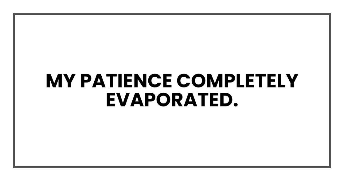 Confrontation begins. Confrontation begins.