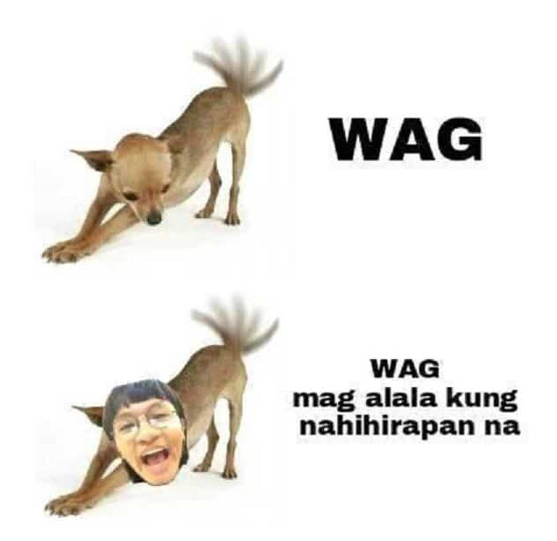 Unique Salonga memes