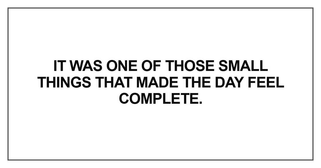 It was one of those small things that made the day feel complete It was one of those small things that made the day feel complete