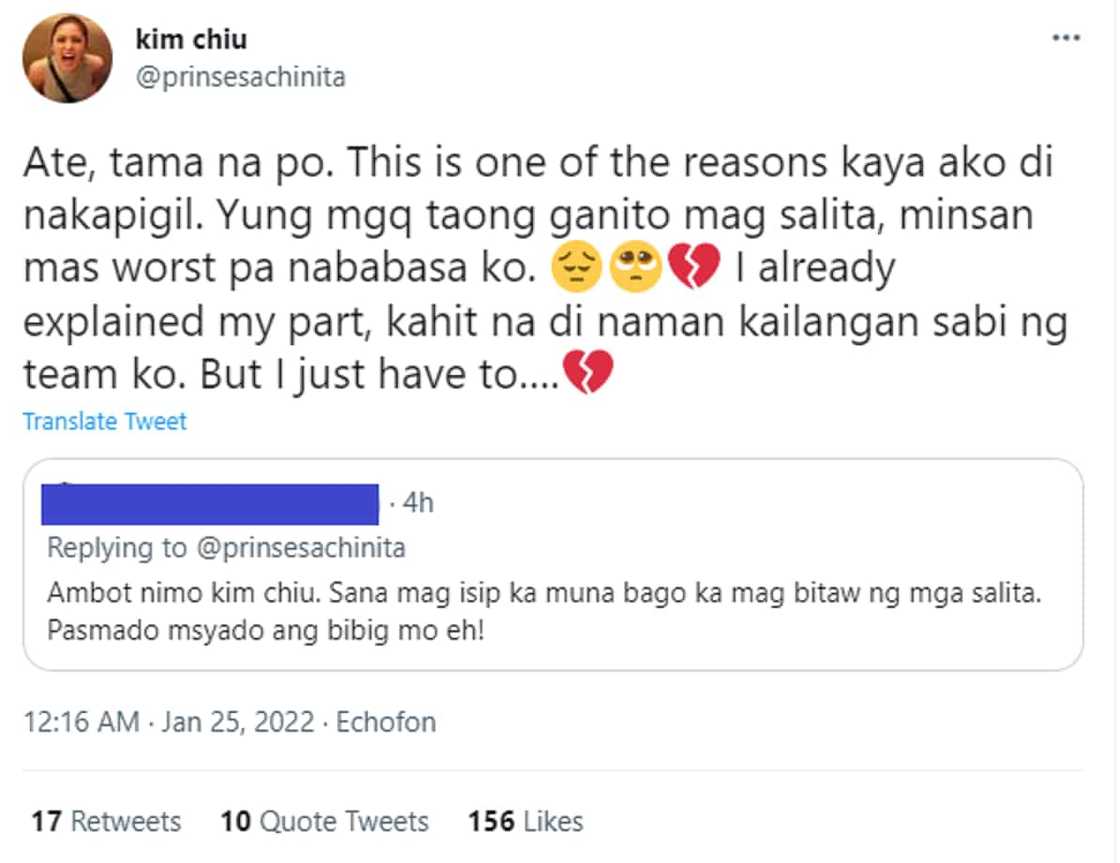 Kim Chiu to netizen calling her "pasmado ang bibig" because of previous remark about cats: "tama na po"