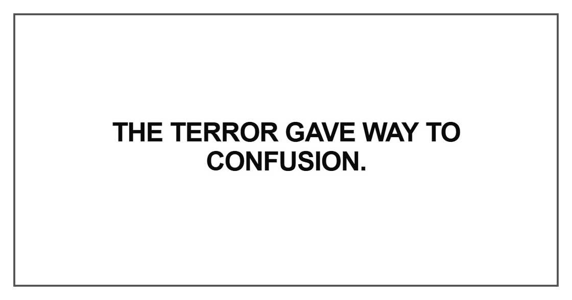 The terror gave way to confusion