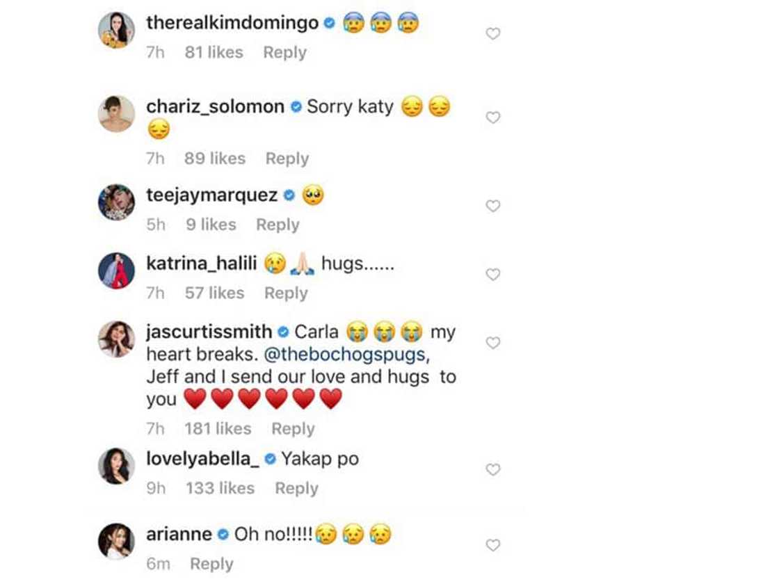 ABS-CBN & GMA celebs react to Carla Abellana’s mourning for the loss of her dog ABS-CBN & GMA celebs react to Carla Abellana’s mourning for the loss of her dog