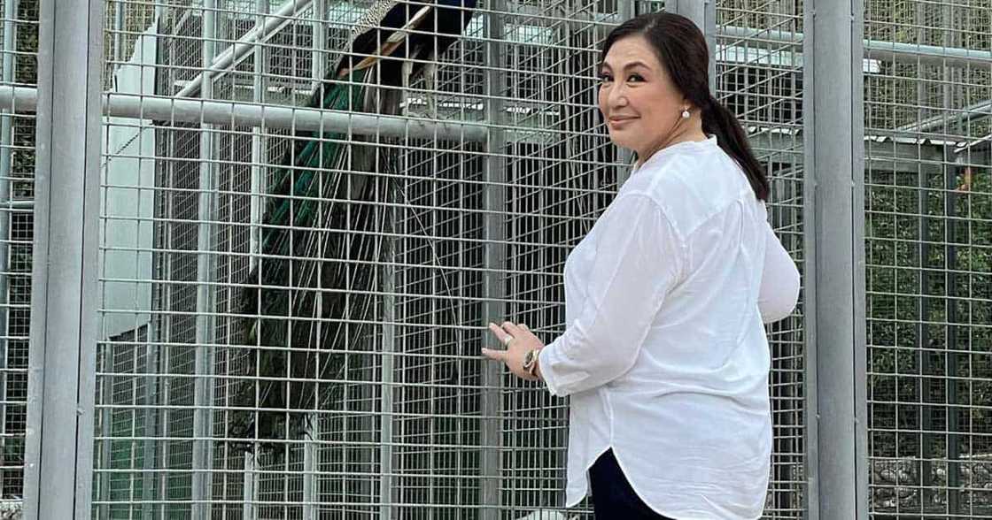 Sharon Cuneta, pina-excite mga netizens sa lalong pumayat na katawan: “Lost weight”