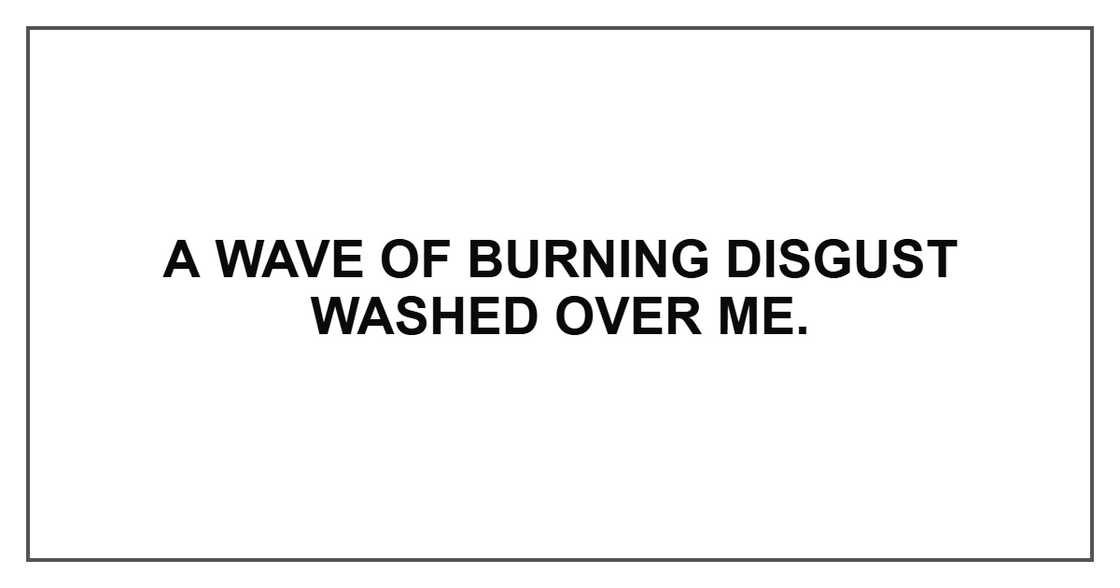 A wave of burning disgust washed over me. A wave of burning disgust washed over me.