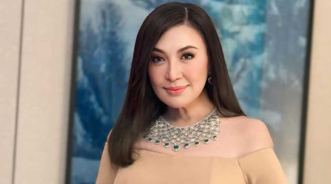 Sharon Cuneta, sinagot ang komentong nasobrahan siya sa pagda-diet Sharon Cuneta, sinagot ang komentong nasobrahan siya sa pagda-diet