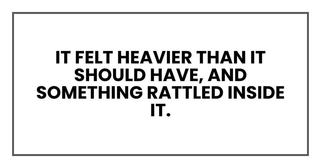 It felt heavier than it should have, and something rattled inside it.