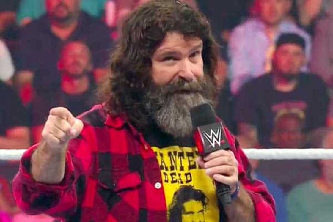 Richest wrestlers 2020 Richest wrestlers 2020