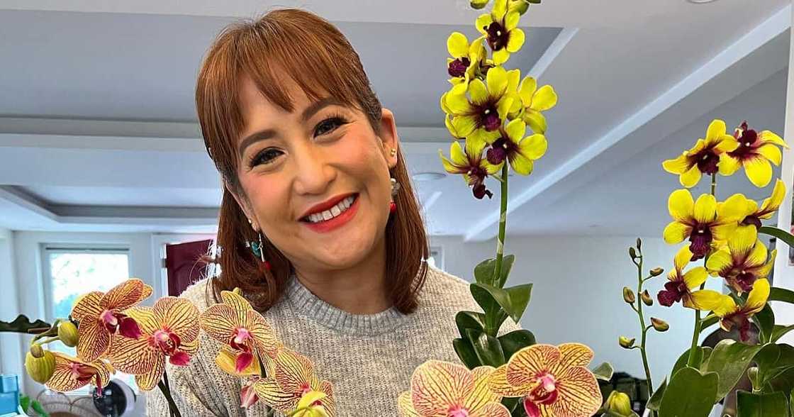 Jolina Magdangal Jolina Magdangal