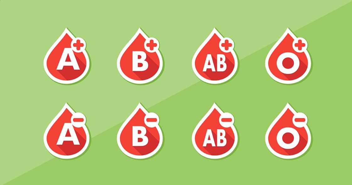 Blood type compatibility