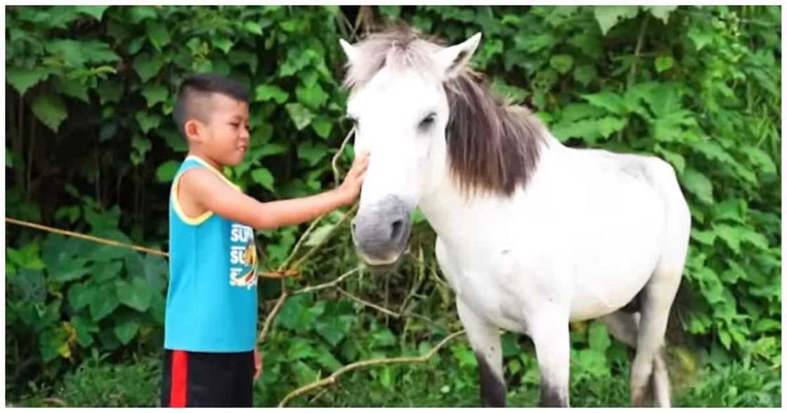 10-anyos na batang nag-aararo para tumulong sa pamilya, nagbigay aral sa netizens 10-anyos na batang nag-aararo para tumulong sa pamilya, nagbigay aral sa netizens