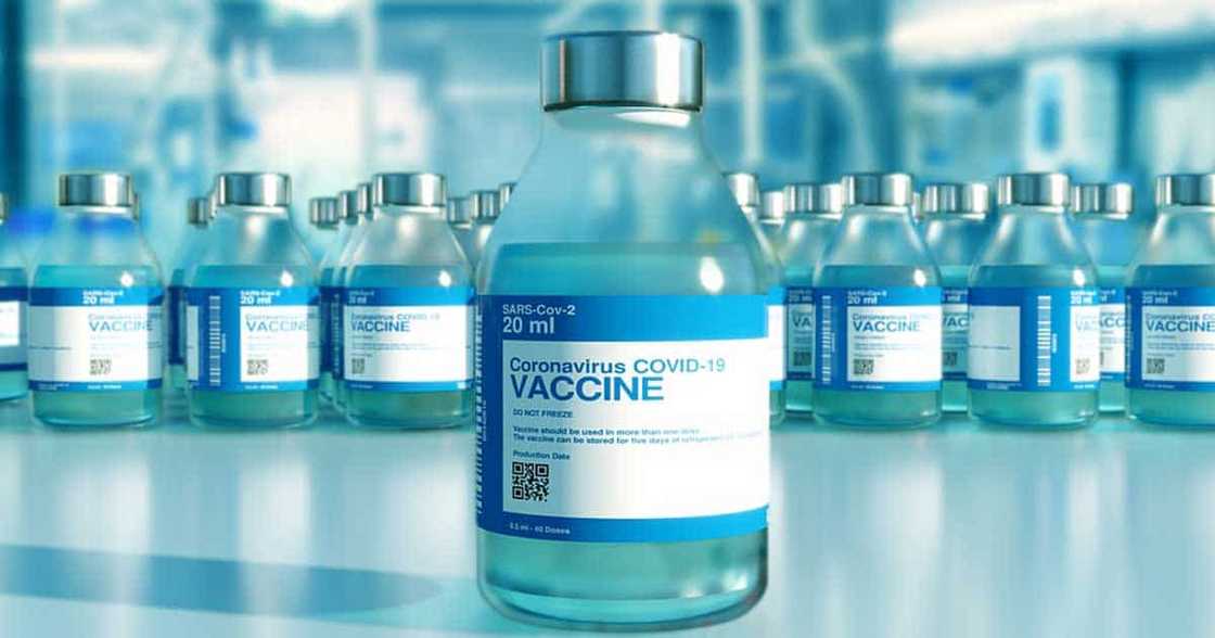 Former VP Jejomar Binay reacts to proposal to trade PH nurses for vaccine Former VP Jejomar Binay reacts to proposal to trade PH nurses for vaccine