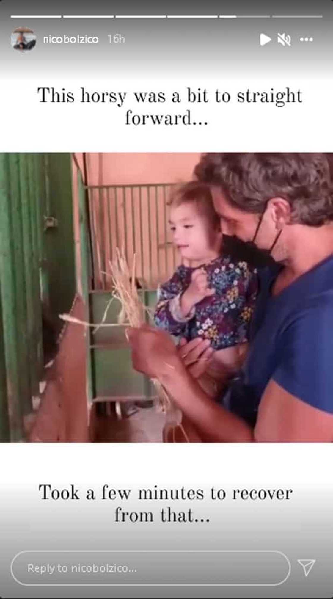 Tili, bahagyang natakot nang sunggaban ng kabayo ang binibigay niyang dayami Tili, bahagyang natakot nang sunggaban ng kabayo ang binibigay niyang dayami