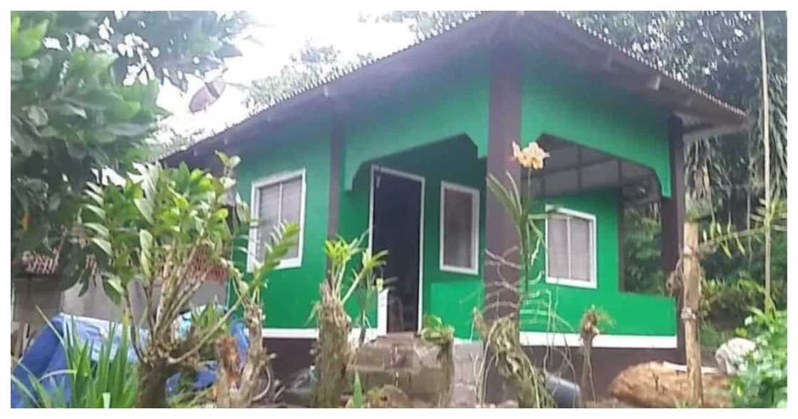 OFW sa Malaysia, nakapagpundar na ng sariling bahay at taniman sa loob lang ng 4 na taon OFW sa Malaysia, nakapagpundar na ng sariling bahay at taniman sa loob lang ng 4 na taon