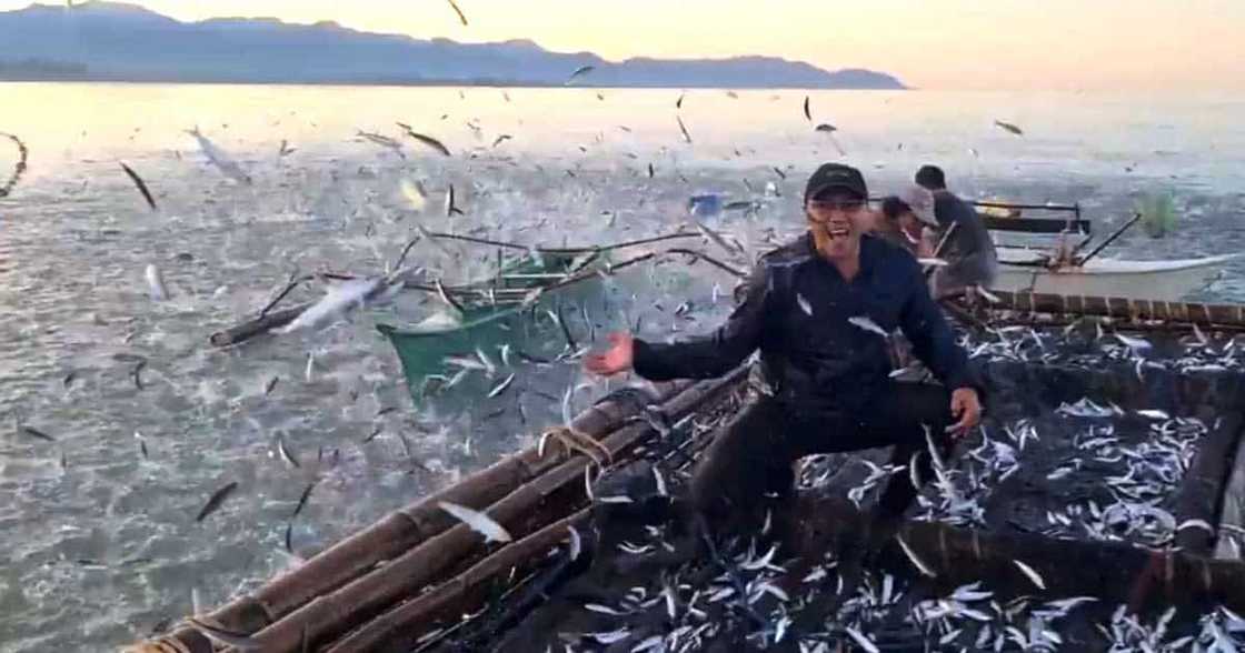 Video ng sangkaterbang isda na nag-unahan sa pagsampa sa mga bangka sa isang bayan sa Antique, viral Video ng sangkaterbang isda na nag-unahan sa pagsampa sa mga bangka sa isang bayan sa Antique, viral