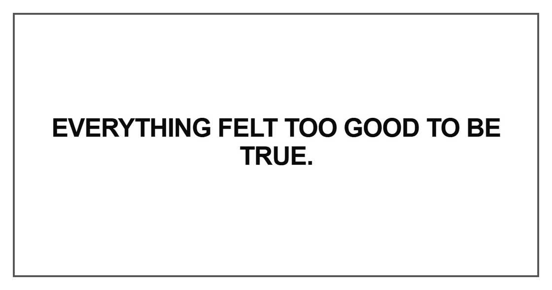 Everything felt too good to be true Everything felt too good to be true