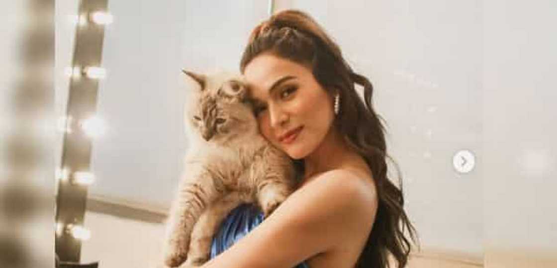 Jennylyn Mercado shares stunning photos of her underwater adventure Jennylyn Mercado shares stunning photos of her underwater adventure