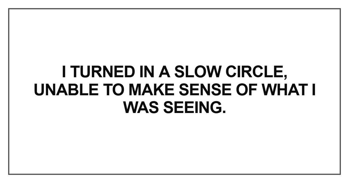 I turned in a slow circle
