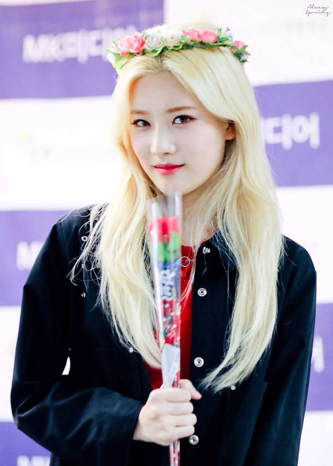 Loona album Loona album