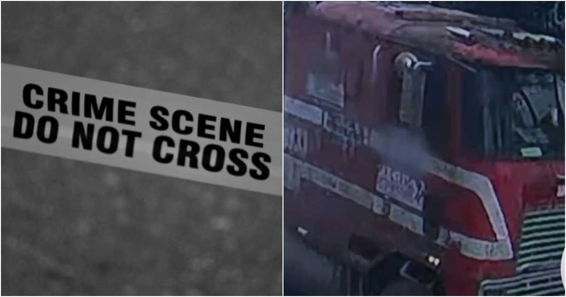 Mark D'aiuto on Pexels
Balitanghali/GMA-7/GMA Integrated News on YouTube Mark D'aiuto on Pexels
Balitanghali/GMA-7/GMA Integrated News on YouTube