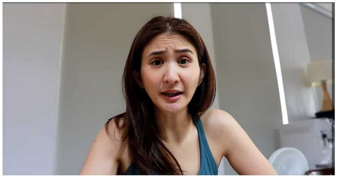 Rica Peralejo, nilinaw na "walang label" ang namagitan sa kanila ni Piolo Pascual noon Rica Peralejo, nilinaw na "walang label" ang namagitan sa kanila ni Piolo Pascual noon