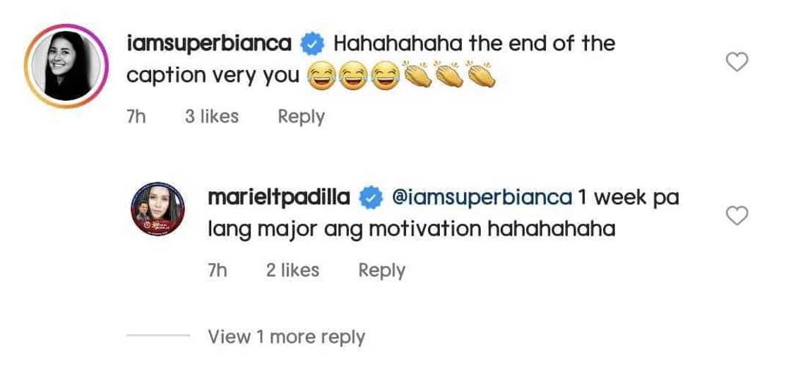 Mariel Padilla, inaliw ang mga netizens sa "pa-tribute" post niya para sa mga anak Mariel Padilla, inaliw ang mga netizens sa "pa-tribute" post niya para sa mga anak