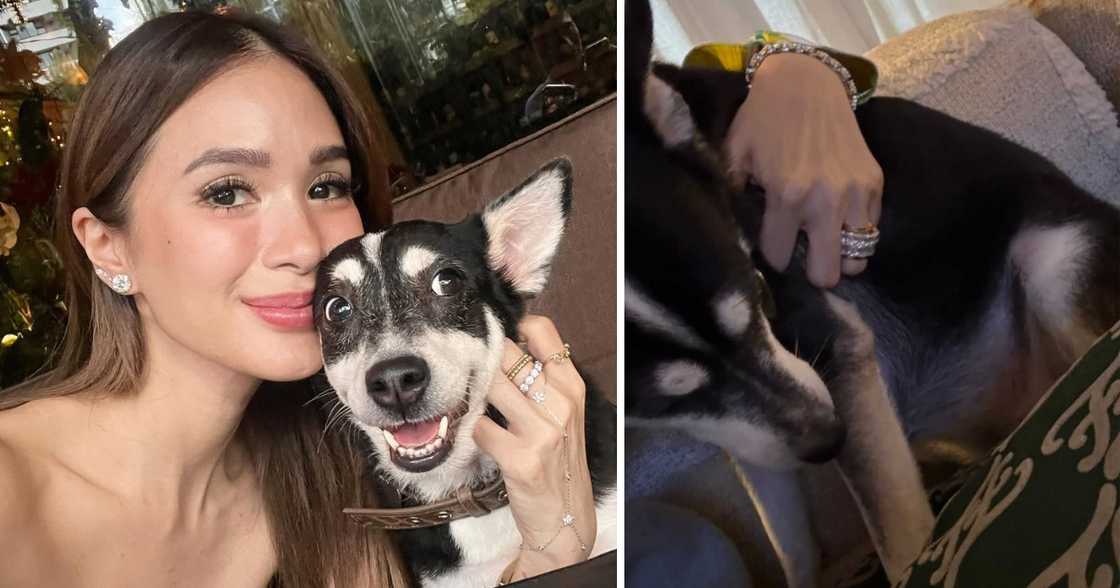 Heart Evangelista relieved as Panda starts eating again: “Thank you Lord” Heart Evangelista relieved as Panda starts eating again: “Thank you Lord”