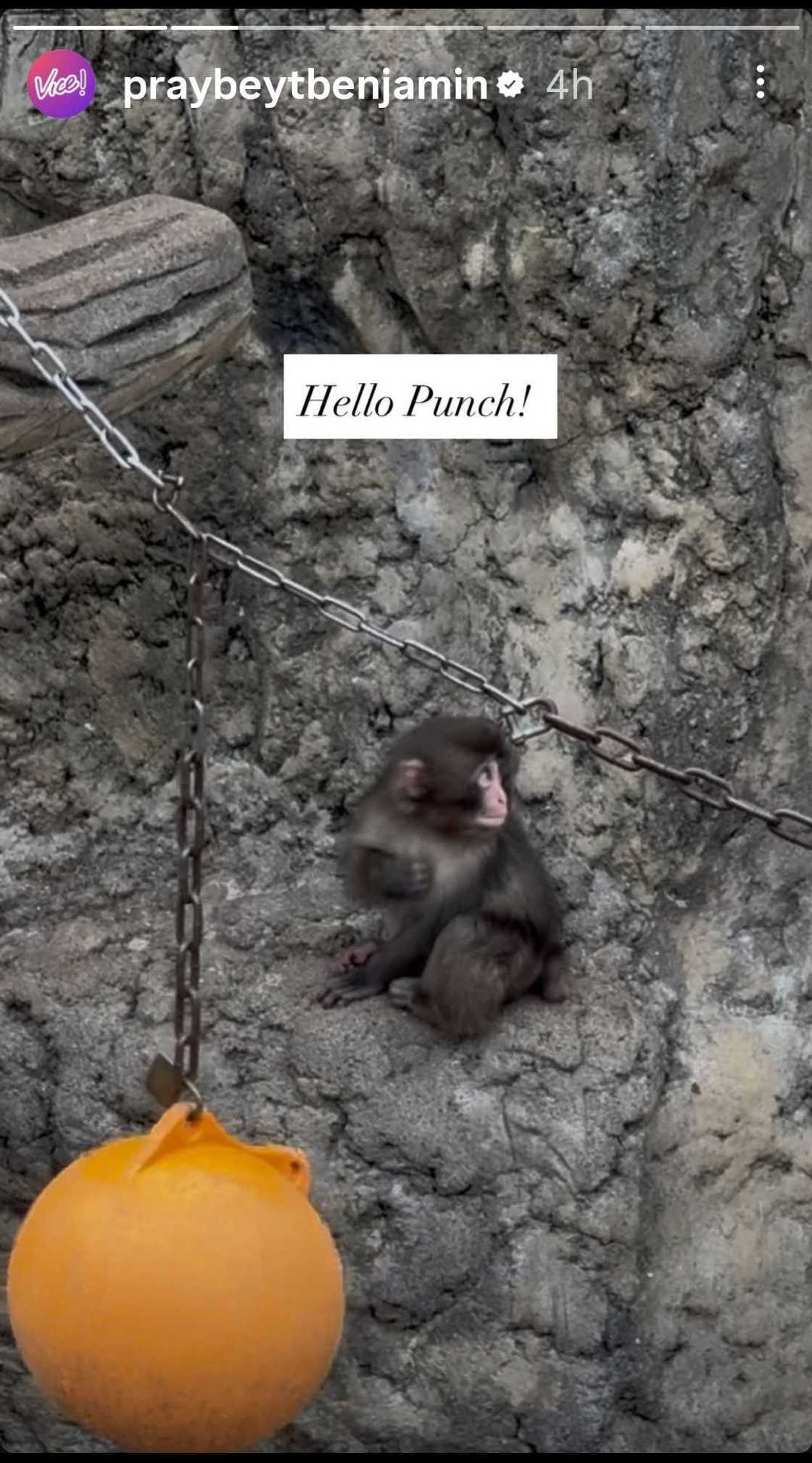 Vice Ganda, nagbahagi ng update matapos makita si Punch sa Japan (@praybeytbenjamin) Vice Ganda, nagbahagi ng update matapos makita si Punch sa Japan (@praybeytbenjamin)