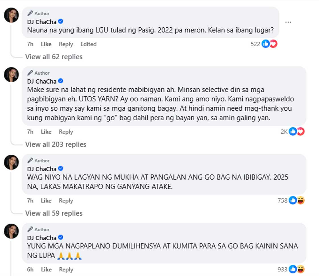 DJ Chacha urges LGUs to distribute emergency 'Go Bags'