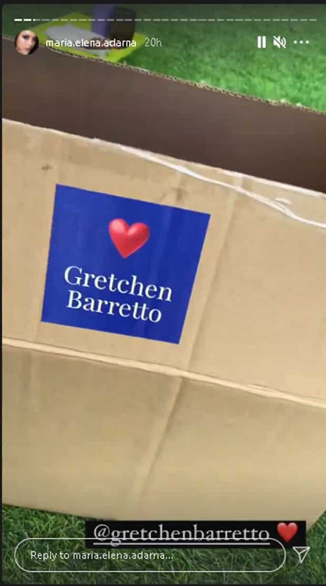 Ellen Adarna, ibinida ang padalang Pasko box ni Gretchen Barretto: “BER month na talaga!”